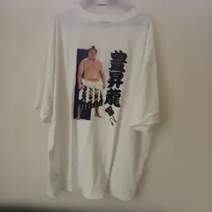 2026年最新】豊昇龍 tシャツの人気アイテム - メルカリ