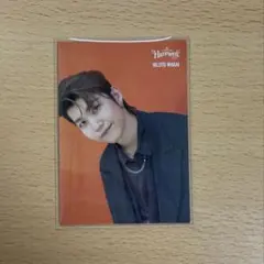 Mrs. GREEN APPLE Harmony 若井滉斗 009 フォトカ