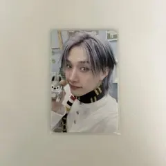straykids スキズ トレカ 4/5 ペンミ 入場特典 stayzone - メルカリ