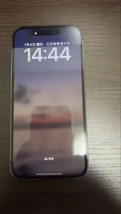 F*9様 [訳あり] Apple iPhone 14 Pro ディープパープル