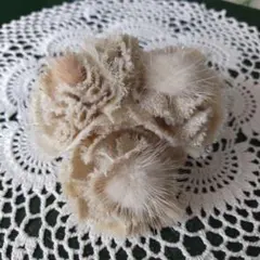 Item thumbnail for item 02c8d60b-a59f-4716-a255-69555b03b5bc