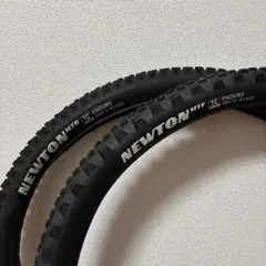 GOODYEAR NEWTON 29インチ　MTF/MTR 前後セットのサムネイル