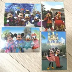 ディズニー　実写ポストカード　5枚　まとめ売り 七夕　ハロウィン