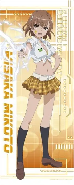 【限定品】御坂美琴 2024生誕祭 A3クリアポスター 巫女服ver. 限定品】御坂美琴 2024生誕祭 A3クリアポスター 巫女服ver. - メルカリ
