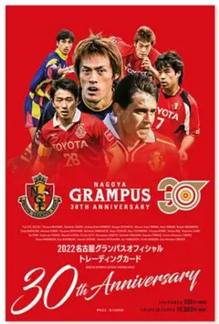 直筆サインカード2023-24Panini Selectドラガン・ストイコビッチ 2025年最新】ストイコビッチ サインの人気アイテム - メルカリ
