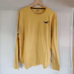 ホリスター Tシャツ
