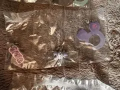 TWICE サナ　ラブリー　ガチャガチャ　アクリルカラビナ　フロッキーチャーム②