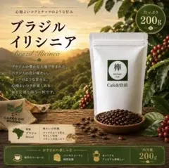 【keiji】【コーヒー生豆】ブラジル イリニシア産 No.2　5kg ブラジル イリニシア コーヒー生豆 500g - メルカリ