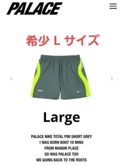 PALACE NIKE TOTAL P90 SHORT L GREY ショーツのサムネイル
