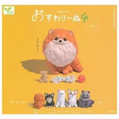 おすわり〜ぬ4 おれんじ ぽめ〜ぬ ポメラニアン
