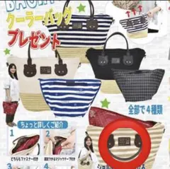 【未使用新品】drugstore'sクーラーBAG付きカゴ BAG /ベージュ赤のサムネイル