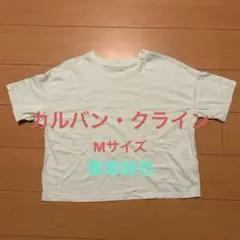 Calvin Klein カルバン・クライン　Tシャツ　薄青緑色のサムネイル
