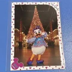ディズニー TDL スペシャルフォト クリスマス 2009 デイジー