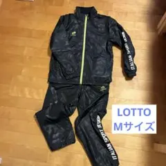 Item thumbnail for item 39000c5a-d216-4912-b43a-20e2bc629a1f