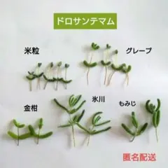 i-nori☆様 リクエスト 2点 まとめ商品