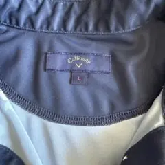 Item thumbnail for item 5b337b02-946b-4edf-ac28-b30c5f65a613