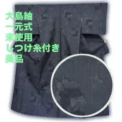 【本場泥大島紬】一元式5マルキ 蝶 身丈163 未使用品 秀品 正絹 仕立上がり