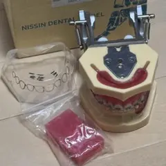 2026年最新】ニッシンデンタルモデルの人気アイテム - メルカリ