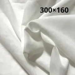 ‼️超大判レース生地激安‼️はぎれ　布