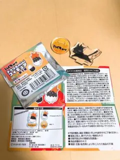North Fox様 リクエスト 2点 まとめ商品