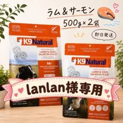 本日限定特価】 ⭐️k9ナチュラル ビーフフィースト500g×2袋