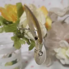 Item thumbnail for item ffe98852-3d08-4144-82b8-825091ac7823