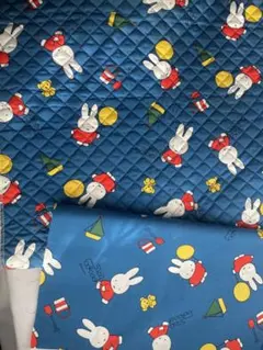 Item thumbnail for item 8cefc4d0-8210-47e7-9cb2-1526b889758c