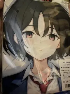 見崎鳴 描き下ろし抱き枕カバー - メルカリ