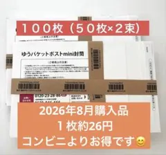100枚セット 水濡れ対策 折らずに発送ゆうパケットポストmini 専用封筒