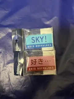 Item thumbnail for item 5f2dd5df-8ed0-4aa9-b352-666aab9a6839