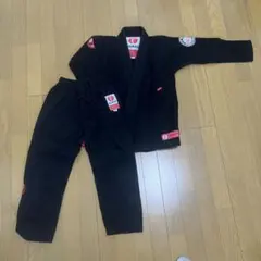 ブラジリアン柔術 柔道