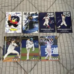 Item thumbnail for item fdad947a-0266-4eeb-bb80-5e1b85f7e959