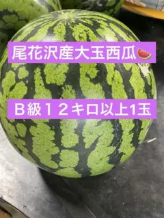 尾花沢産大玉西瓜 Ｂ級１２キロ以上1玉のサムネイル