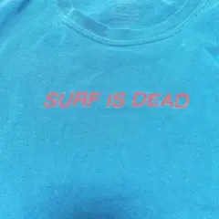 Item thumbnail for item 22fe0d7a-cd17-4ce0-8cf2-5f9ccc6bed01