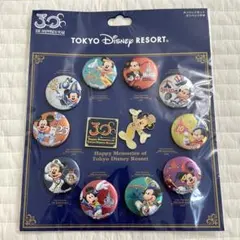 ディズニー 30周年 缶バッジ ピンバッジ ディズニーリゾート 限定