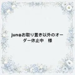 jun※お取り置き以外のオーダー休止中様　専用