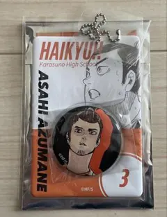 ハイキュー　缶バッジ＆特製ホルダーコレクション