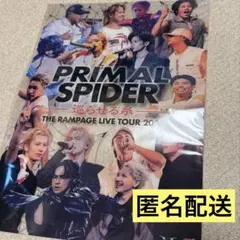 RAMPAGE PRIMAL SPIDER ポスター