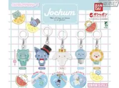 Jochum めじるしアクセサリー　（Bira）