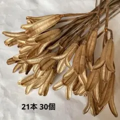 フタバ様 リクエスト 2点 まとめ商品