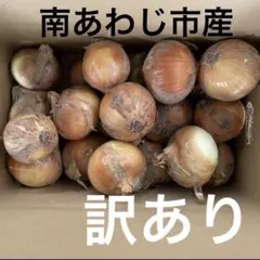 訳あり　淡路島産玉ねぎ　ターザン訳あり5キロのサムネイル