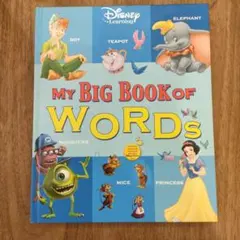 2026年最新】dwe my big book of wordsの人気アイテム - メルカリ