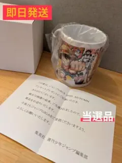 ジャンプ GIGA 2025 Autumn ワンピース 限定マグカップ 当選品
