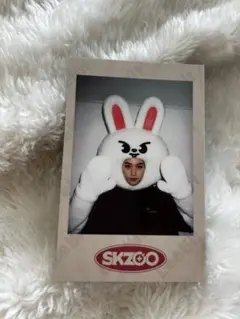 リノ　skz-xペンミトレカ　skzoo リービット
