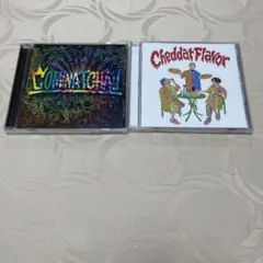 WANIMA ワニマ ２枚セット‼️ Cheddar Flavorコミナッチャ