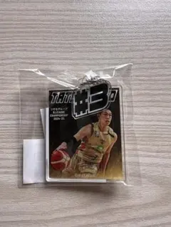 Item thumbnail for item 969f930d-8abb-4189-9239-c46245deca8f