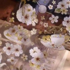 【Xi164s】小白家 / 盏中花 贝壳光 pet 1ループ 150cm