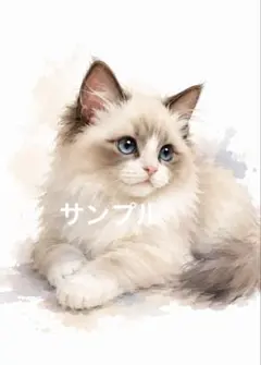 ☆ラグドール 絵 色鉛筆画☆ネコのイラスト☆ - メルカリ