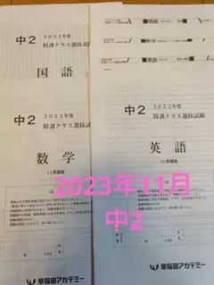 中2 特訓選抜　一年分　全4回　早稲田アカデミー　2020 中2 特訓選抜 一年分 全4回 早稲田アカデミー 2020 本