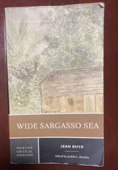 Wide Sargasso Sea - Jean Rhys